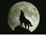 The Ro-Wolves