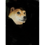 I LIKE DOGE SO MUCCHH