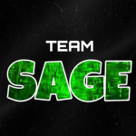 Team Sage Group