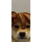 DogeBacon