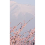 Cloudii aesthetic