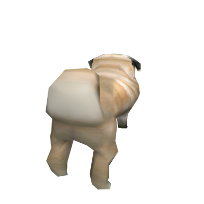 Pug