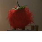The Maheeheefuzzmctomato Team