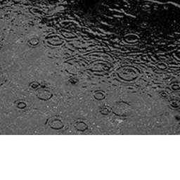 rain