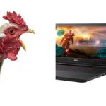 Roosterites clan