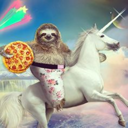 Sloths and Walruses 4 lyfe's first game!