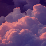 h o n e y ~