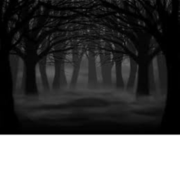 Lost