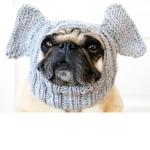 Elephant fan group for pug fans