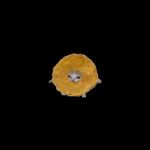 Wiggiam