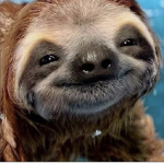 Sloth Army:)