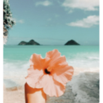 Aloha clothes!