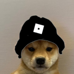Shiba Fanclub