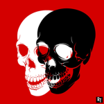 Gemini Pirates