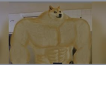 only join if doge
