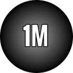 1M