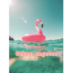Sages angelss