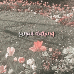 *:･eunoia clothing･:*