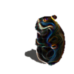 Notional Chomik