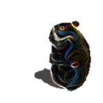 Notional Chomik