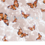 Butterfly_crew