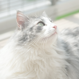 ♥ 𝓃𝑜𝓉𝒽𝒾𝓃𝑔