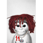 ROBUXS_FLEX