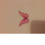 Blooming butterfly