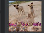 Dingo’s Donut’s