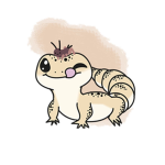 The _Leopard_Geckos