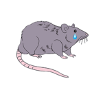 X_xSadrats