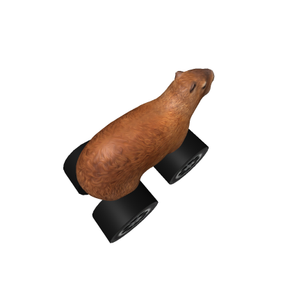 capybara car
