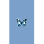 Butterflies gloss