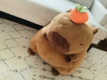 123cApybAra lovERS