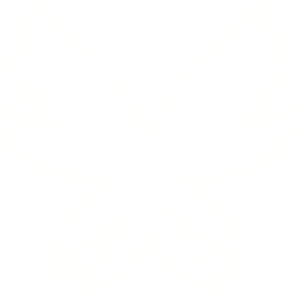 GLOWING Ethereal Wings Headpiece