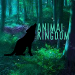 .Animal.Kingdom.