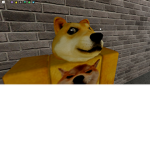 doge is funni
