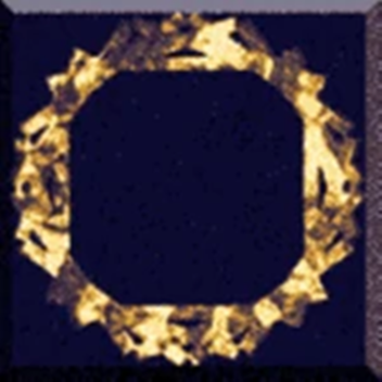 ZESMALOIN