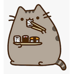 Never give Pusheen sushi