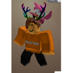 ROBLOX Protection Assassins