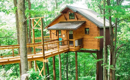 Tree House Game