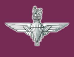 [VBA] Parachute Regiment UK