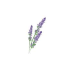 Lavanda&Mint