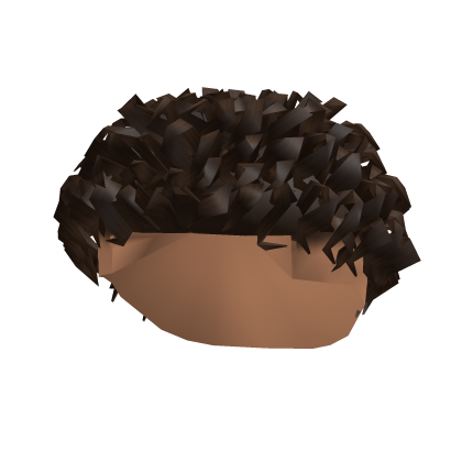 Brown Curly Hair Textured Roblox item