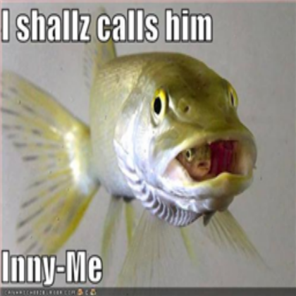 funny fish Roblox decal