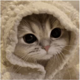 ~calm obby~