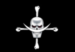 !Whitebeard Pirates!