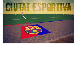 Barcelona training