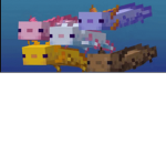 Axoloto friends