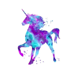 UNICORN SHIMER